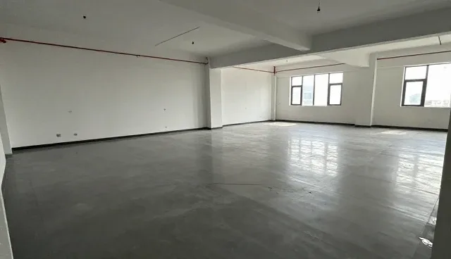 官网建设与网络推广服务如何应对行业新趋势