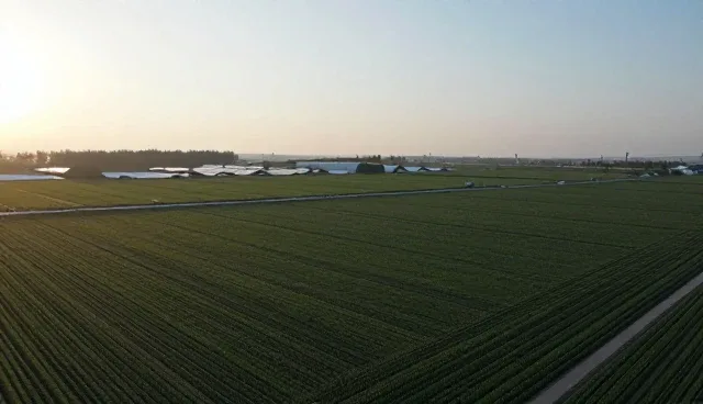 网络技术咨询选型关注点分析：需求分析与方案验证